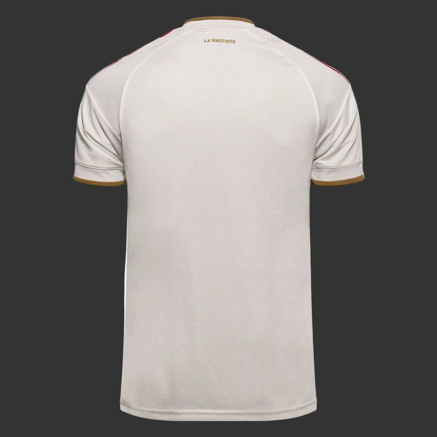 Maillot Venezuela Extérieur Coupe Du Monde 2026/2027