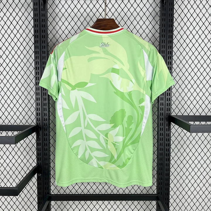 Maillot Italie Vert et Rouge 25/26