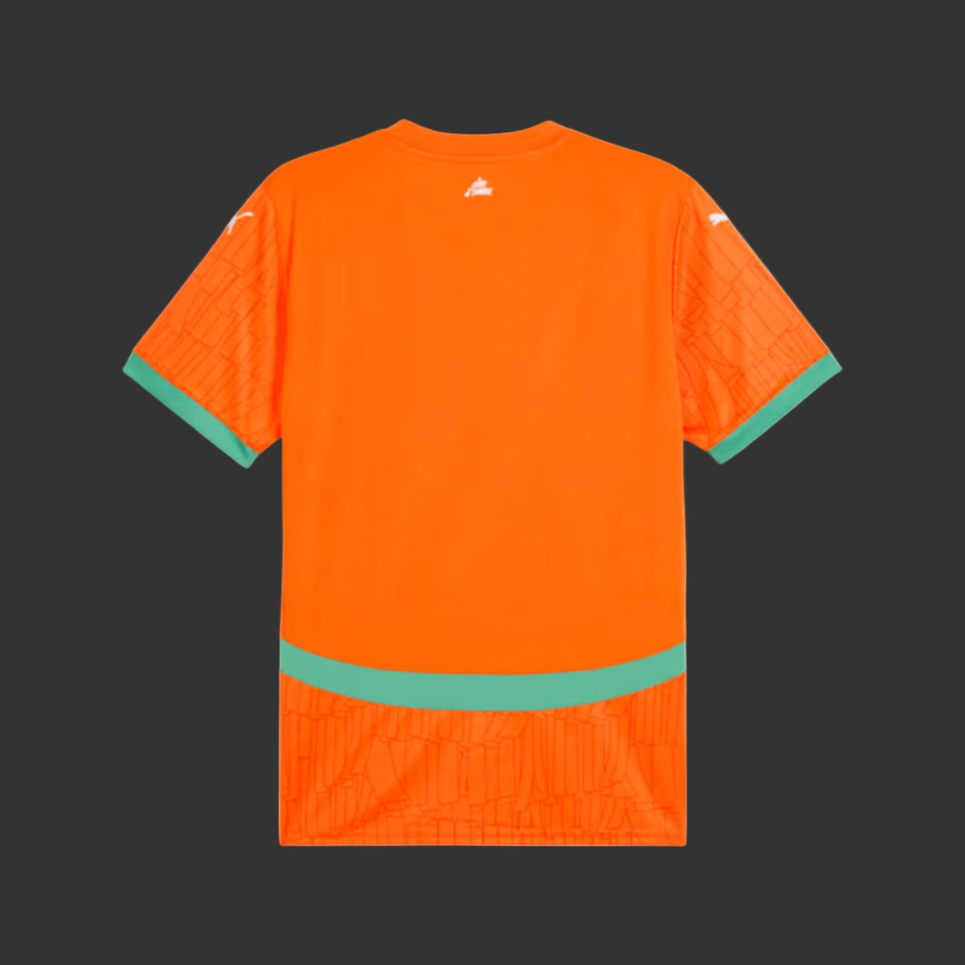 Maillot Côte d'Ivoire Orange 24/25