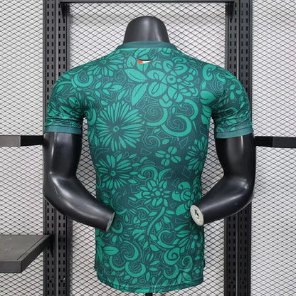 Maillot Palestine concept 2025-26 vert