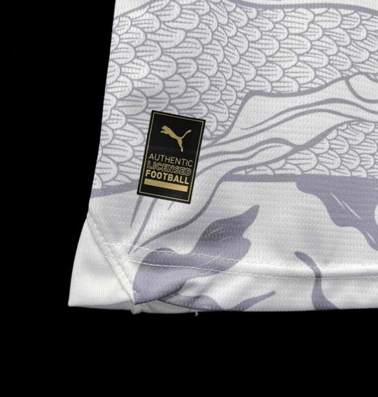 Maillot Manchester City Gris 23/24