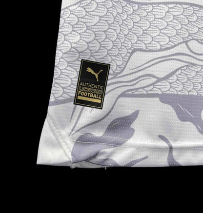 Maillot Manchester City Gris 23/24