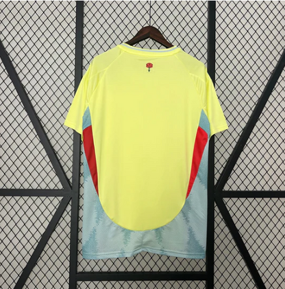 Maillot Espagne Extérieur Jaune 24/25