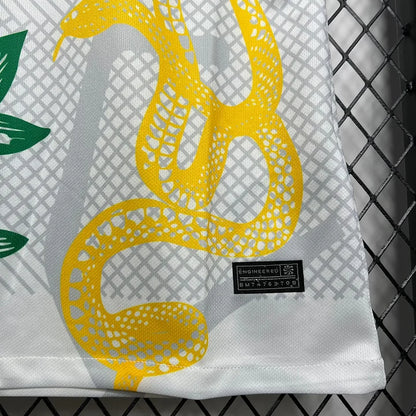 Maillot Inter Milan foot 2024 2025 concept