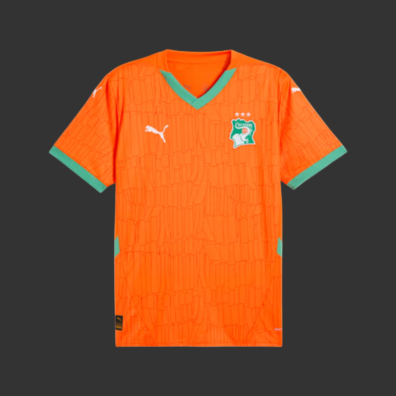 Maillot Côte d'Ivoire Orange 24/25